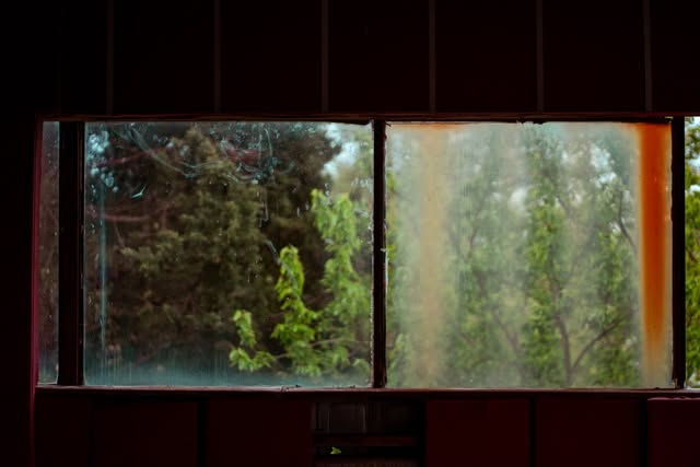 View of green trees through the rain streaked windows of a lakeside cabin