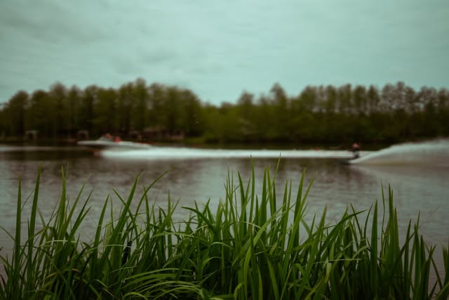 Boats racing across the calm water of Golden Lake behind tall reeds